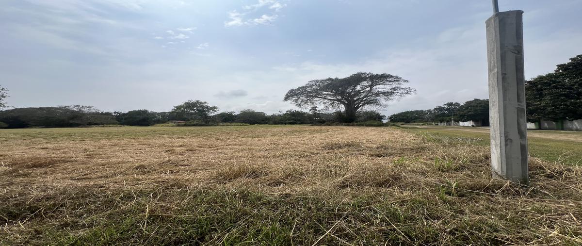 Foto de terreno comercial en venta en tortuga laud , el pichijumo, aldama, tamaulipas, 29526395 No. 04