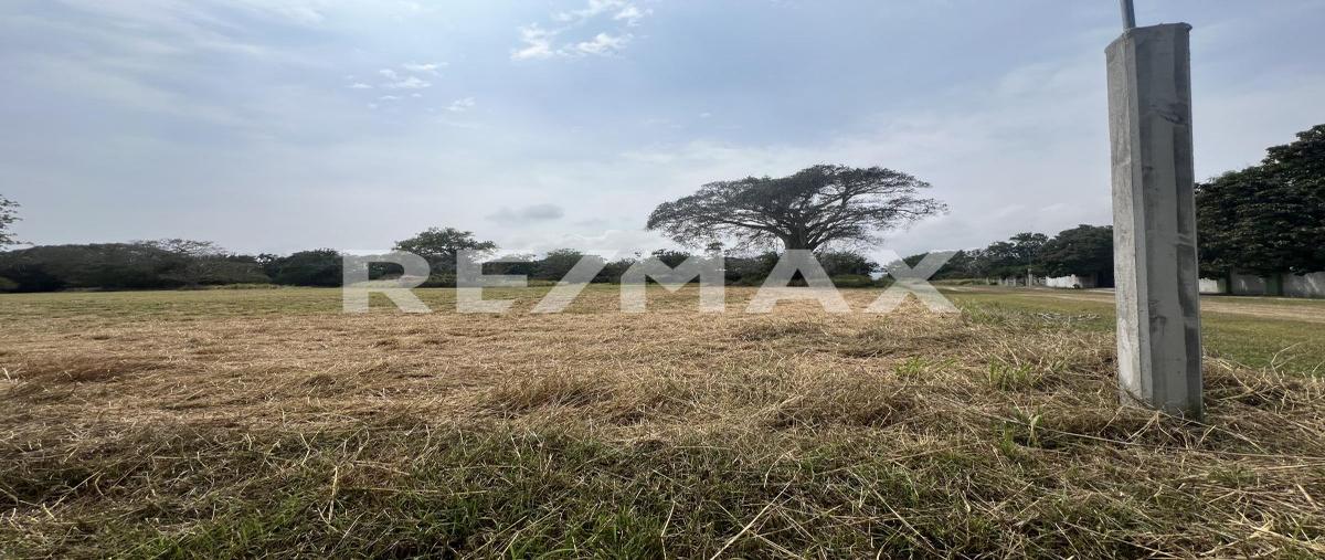 Foto de terreno comercial en venta en tortuga laud , el pichijumo, aldama, tamaulipas, 0 No. 04