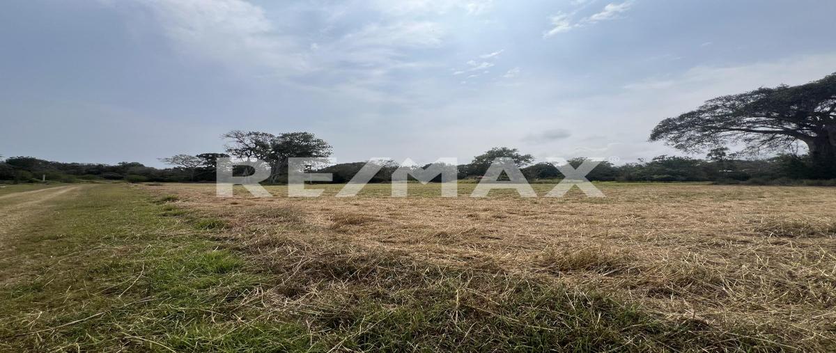 Foto de terreno comercial en venta en tortuga laud , el pichijumo, aldama, tamaulipas, 0 No. 05