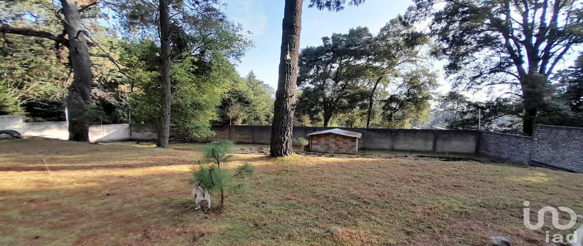 Foto de terreno habitacional en totlán 91, coajomulco, huitzilac, morelos, 28719320 foto 04 Foto de terreno habitacional en venta en totlán 91, coajomulco, huitzilac, morelos, 28719320 No. 04