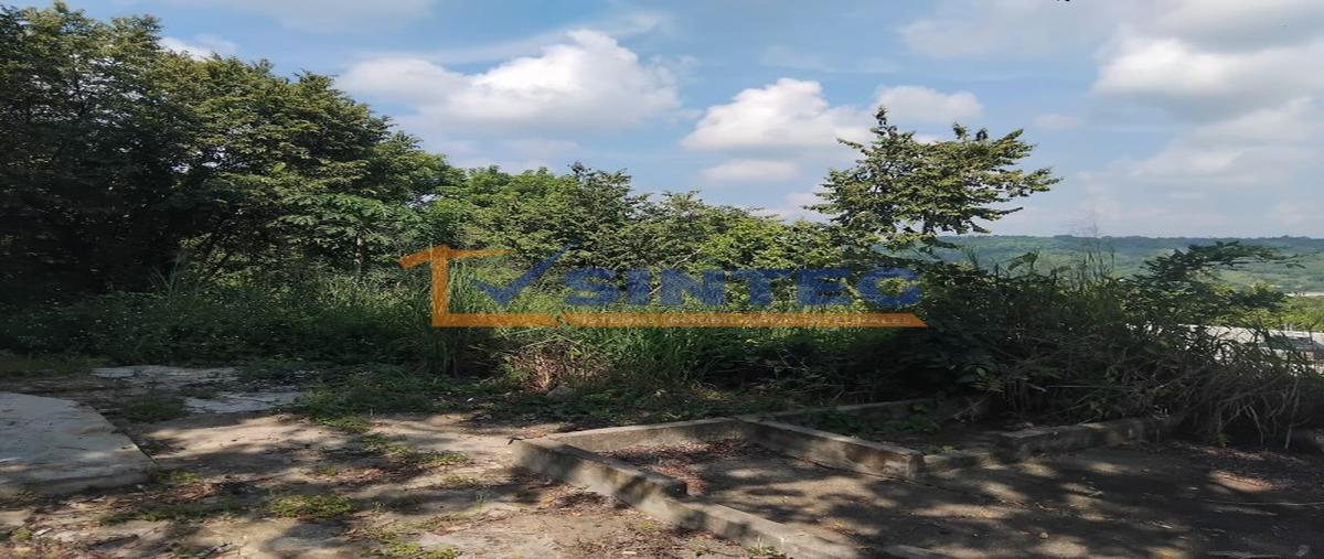 Foto de terreno habitacional en venta en  , totolapa, tihuatlán, veracruz de ignacio de la llave, 0 No. 03