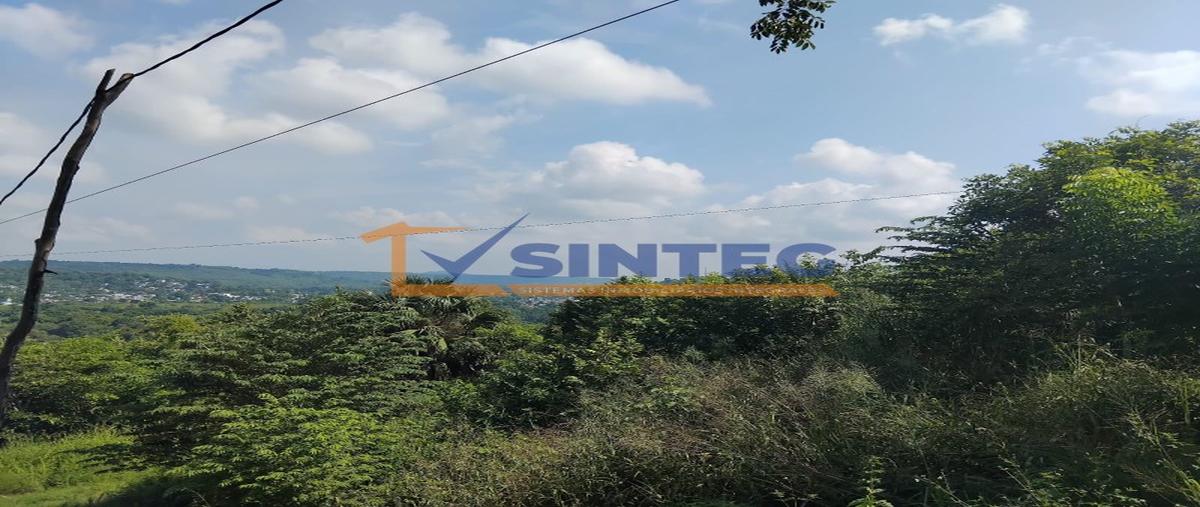 Foto de terreno habitacional en venta en  , totolapa, tihuatlán, veracruz de ignacio de la llave, 0 No. 04