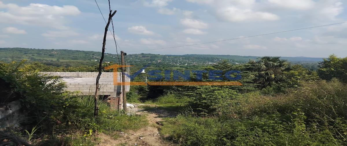 Foto de terreno habitacional en venta en  , totolapa, tihuatlán, veracruz de ignacio de la llave, 0 No. 05