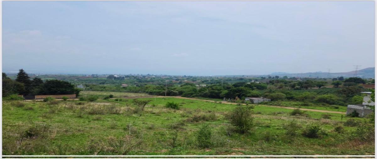 Foto de terreno habitacional en venta en  , totolapan, totolapan, morelos, 0 No. 04