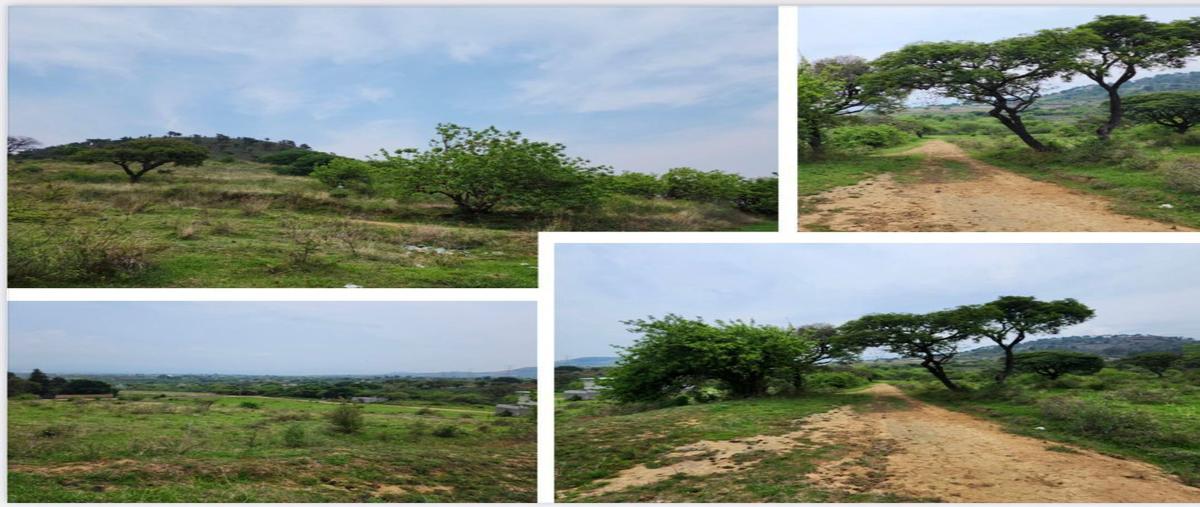 Foto de terreno habitacional en venta en  , totolapan, totolapan, morelos, 0 No. 05