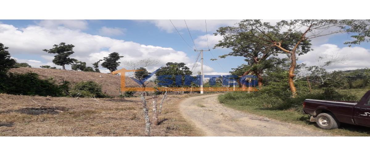 Foto de terreno habitacional en , totomaxtle, papantla, veracruz de ignacio de la llave, 26394876 foto 02 Foto de terreno habitacional en venta en , totomaxtle, papantla, veracruz de ignacio de la llave, 26394876 No. 02