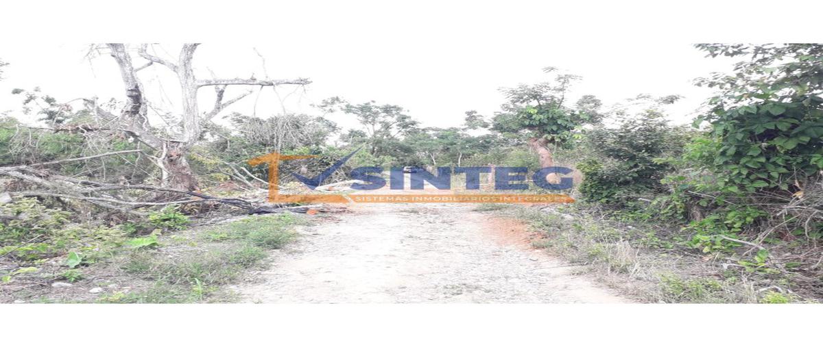 Foto de terreno habitacional en , totomaxtle, papantla, veracruz de ignacio de la llave, 0 foto 04 Foto de terreno habitacional en venta en , totomaxtle, papantla, veracruz de ignacio de la llave, 0 No. 04