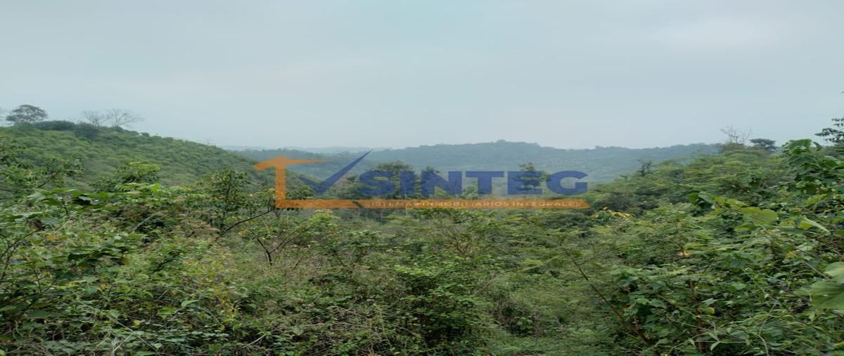 Foto de terreno habitacional en , totomaxtle, papantla, veracruz de ignacio de la llave, 0 foto 04 Foto de terreno habitacional en venta en , totomaxtle, papantla, veracruz de ignacio de la llave, 0 No. 04