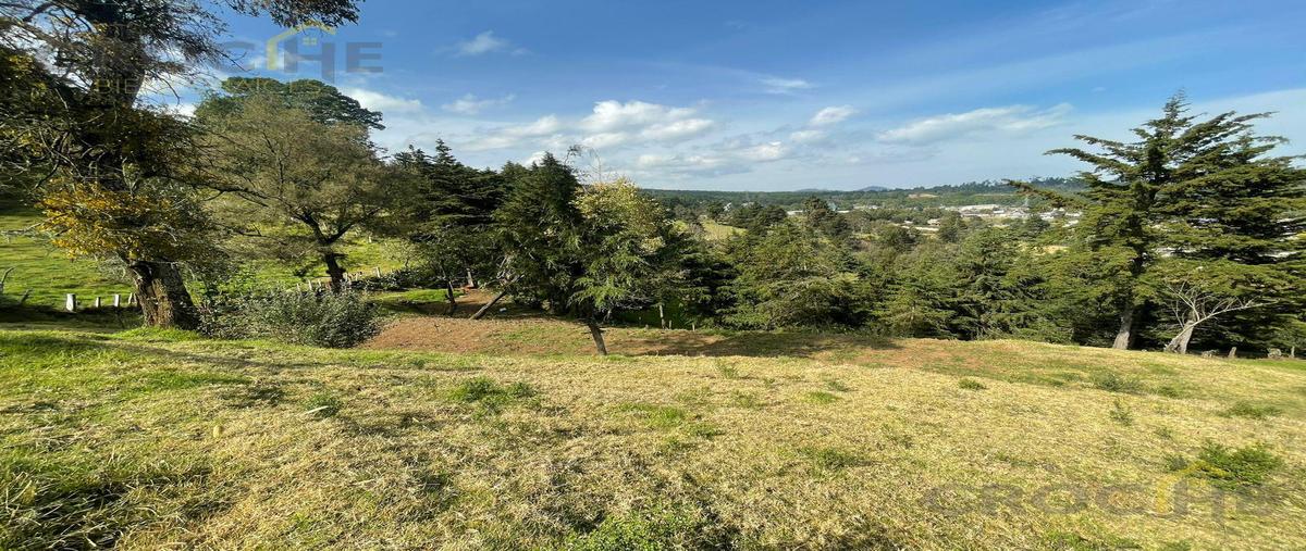 Foto de terreno habitacional en venta en  , toxtlacoaya, las vigas de ramírez, veracruz de ignacio de la llave, 0 No. 03