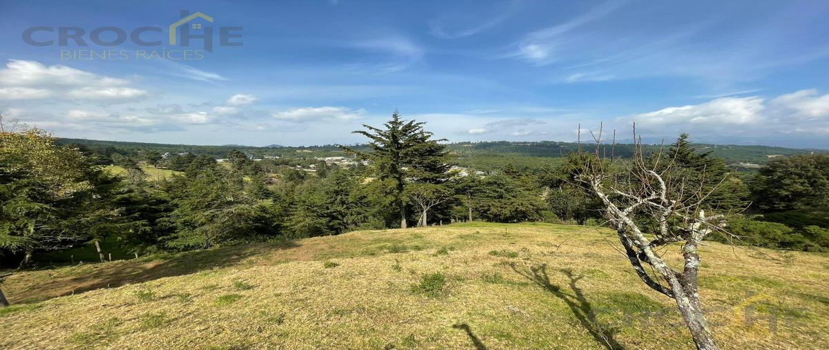 Foto de terreno habitacional en venta en  , toxtlacoaya, las vigas de ramírez, veracruz de ignacio de la llave, 0 No. 04