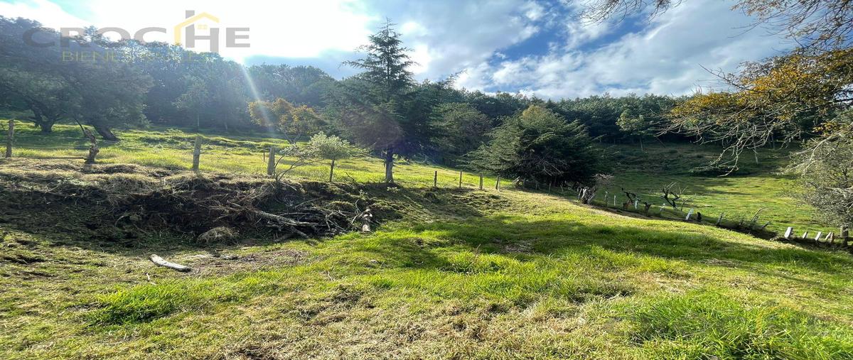 Foto de terreno habitacional en venta en  , toxtlacoaya, las vigas de ramírez, veracruz de ignacio de la llave, 0 No. 05