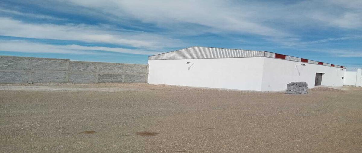 Foto de bodega en , trancoso centro, trancoso, zacatecas, 28887119 foto 03 Foto de bodega en renta en , trancoso centro, trancoso, zacatecas, 28887119 No. 03