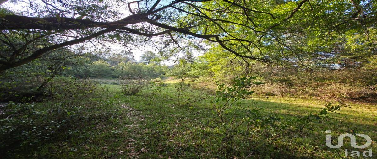 Foto de terreno comercial en venta en . , transfiguraciÃ³n, nicolÃ¡s romero, mÃ©xico, 31568127 No. 04