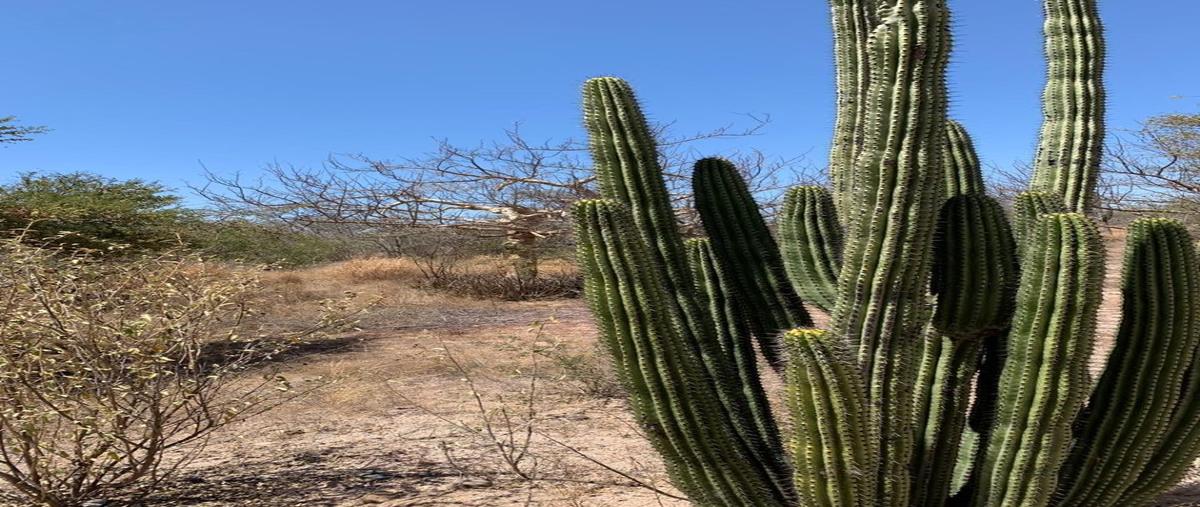 Foto de terreno comercial en venta en transpeninsular la paz-los cabos , calafia, la paz, baja california sur, 17872565 No. 04