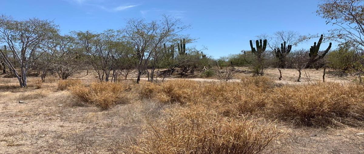 Foto de terreno comercial en venta en transpeninsular la paz-los cabos , calafia, la paz, baja california sur, 17872565 No. 05