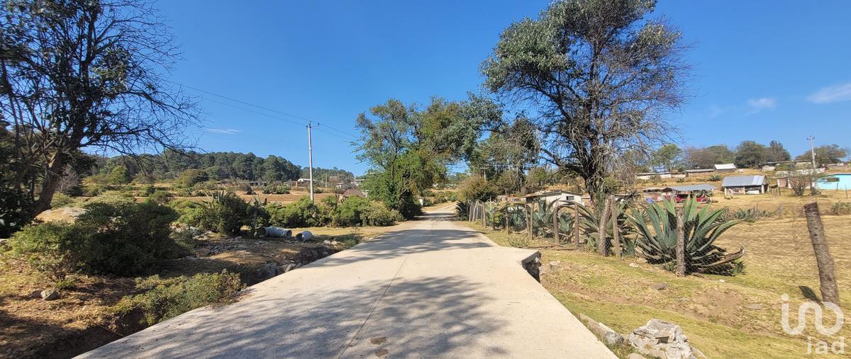 Foto de terreno habitacional en venta en tres cañadas 152, tres cañadas, omitlán de juárez, hidalgo, 28724302 No. 04