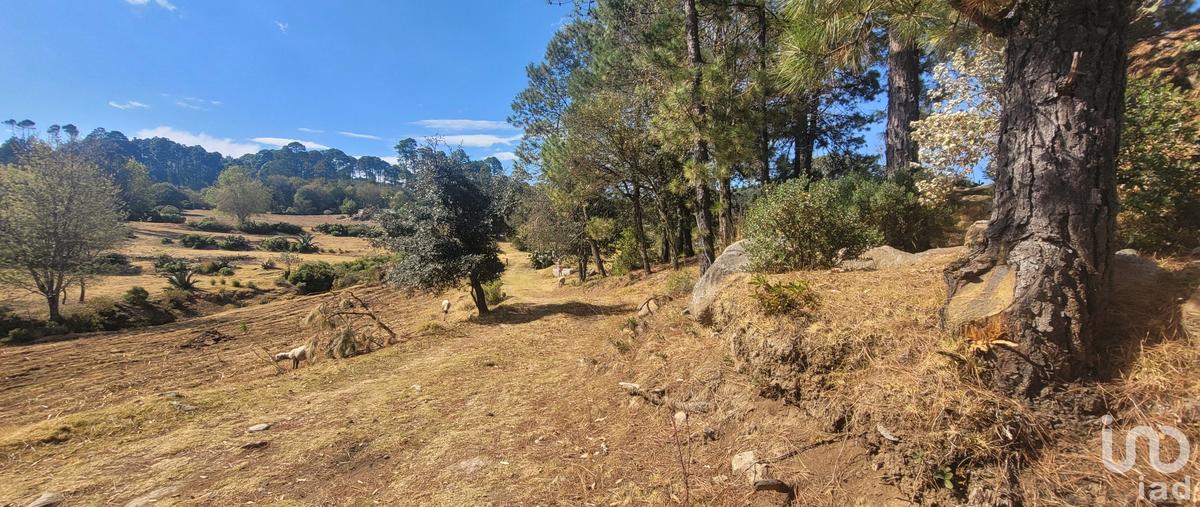 Foto de terreno habitacional en venta en tres cañadas 152, tres cañadas, omitlán de juárez, hidalgo, 28724302 No. 05