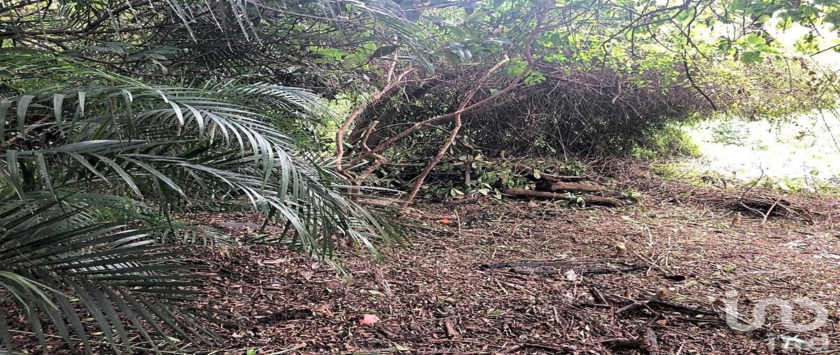 Foto de terreno habitacional en venta en tres cruces 214, ahuatepec, cuernavaca, morelos, 28723218 No. 04