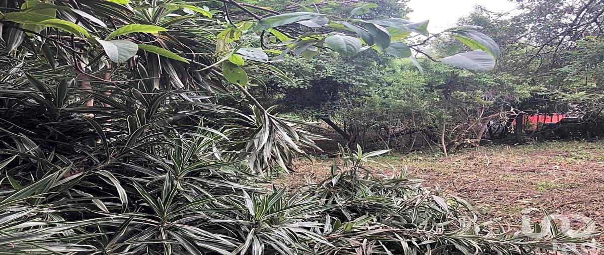 Foto de terreno habitacional en venta en tres cruces 214, ahuatepec, cuernavaca, morelos, 28723218 No. 05