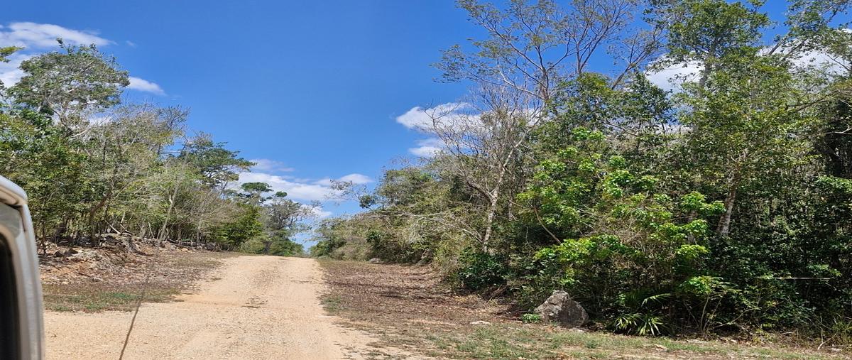 Foto de terreno habitacional en venta en  , tres marias, lázaro cárdenas, quintana roo, 0 No. 03
