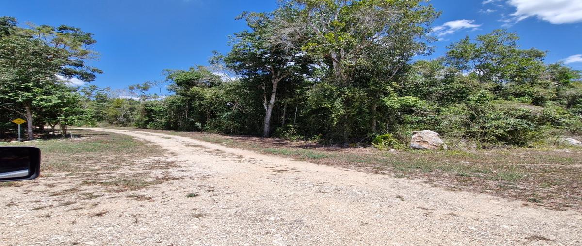 Foto de terreno habitacional en venta en  , tres marias, lázaro cárdenas, quintana roo, 0 No. 04