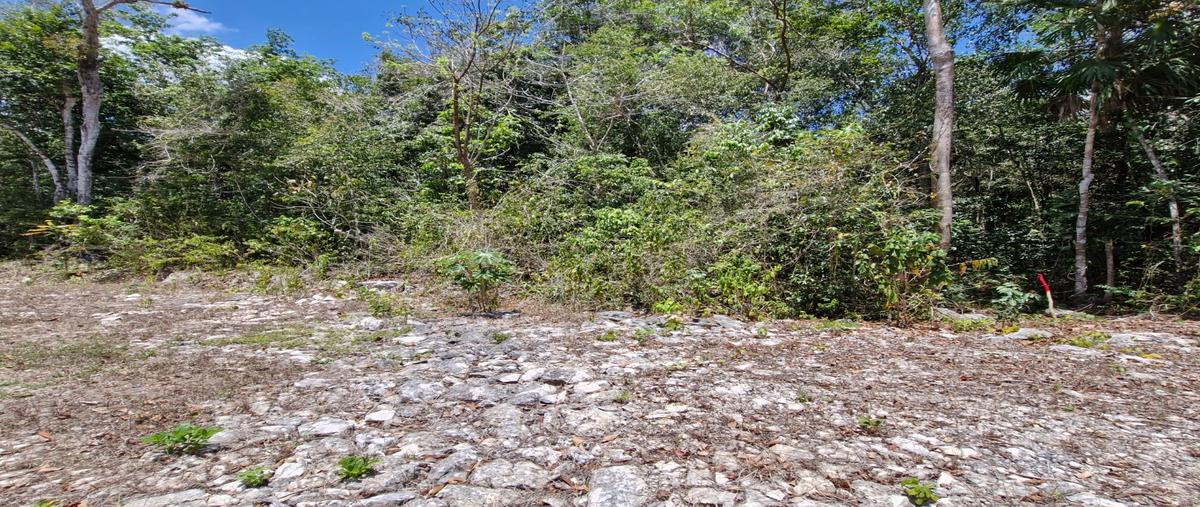 Foto de terreno habitacional en venta en  , tres marias, lázaro cárdenas, quintana roo, 0 No. 05