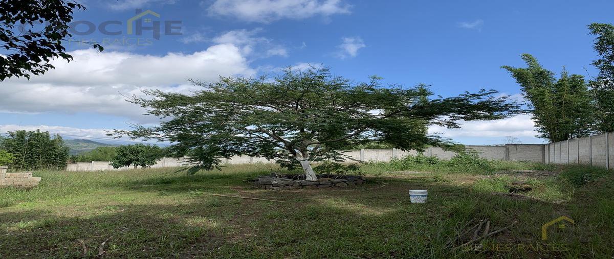 Foto de terreno habitacional en venta en  , tres pasos, emiliano zapata, veracruz de ignacio de la llave, 0 No. 05