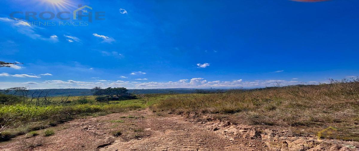 Foto de terreno habitacional en venta en  , tres pasos, emiliano zapata, veracruz de ignacio de la llave, 0 No. 03