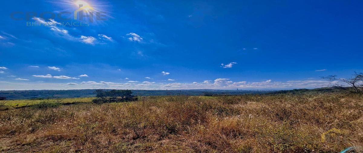 Foto de terreno habitacional en venta en  , tres pasos, emiliano zapata, veracruz de ignacio de la llave, 0 No. 05