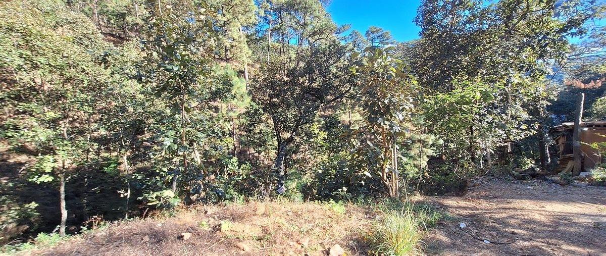 Foto de terreno habitacional en venta en tres puentes , tres puentes, valle de bravo, méxico, 30798806 No. 04