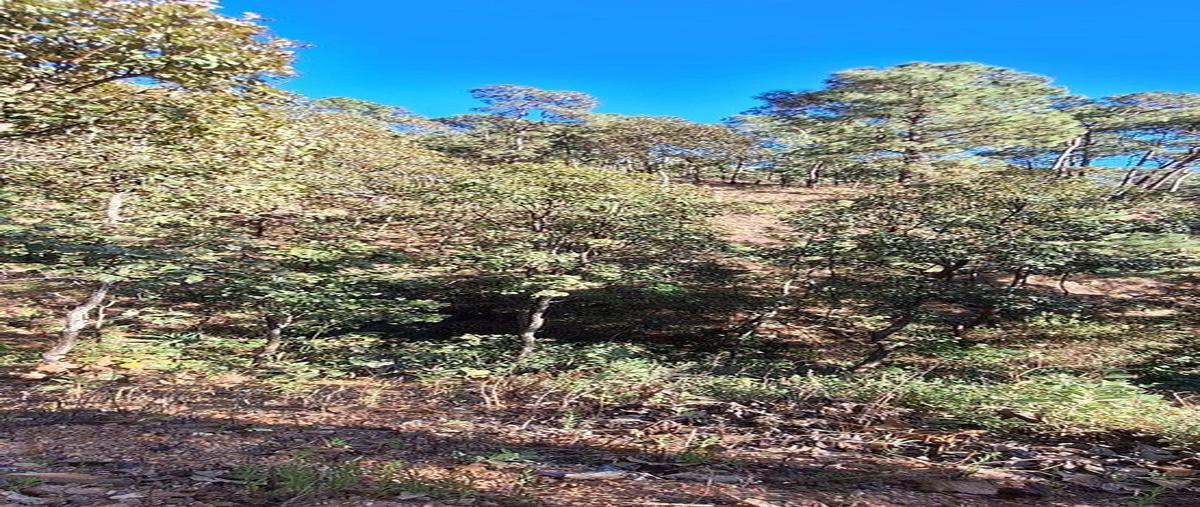 Foto de terreno habitacional en venta en tres puentes , tres puentes, valle de bravo, méxico, 30798806 No. 05