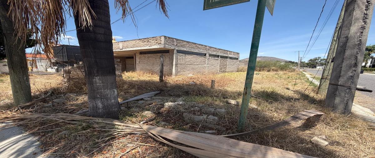 Foto de terreno habitacional en venta en  , tres reyes, tlajomulco de zúñiga, jalisco, 0 No. 03