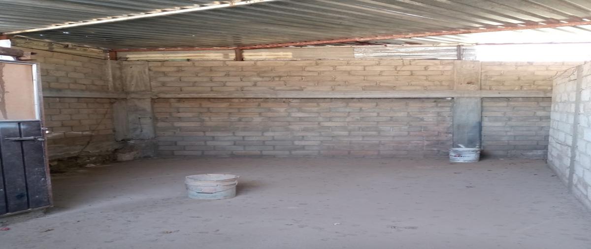 Foto de local en venta en  , trinidad de viguera, oaxaca de juárez, oaxaca, 30258037 No. 05