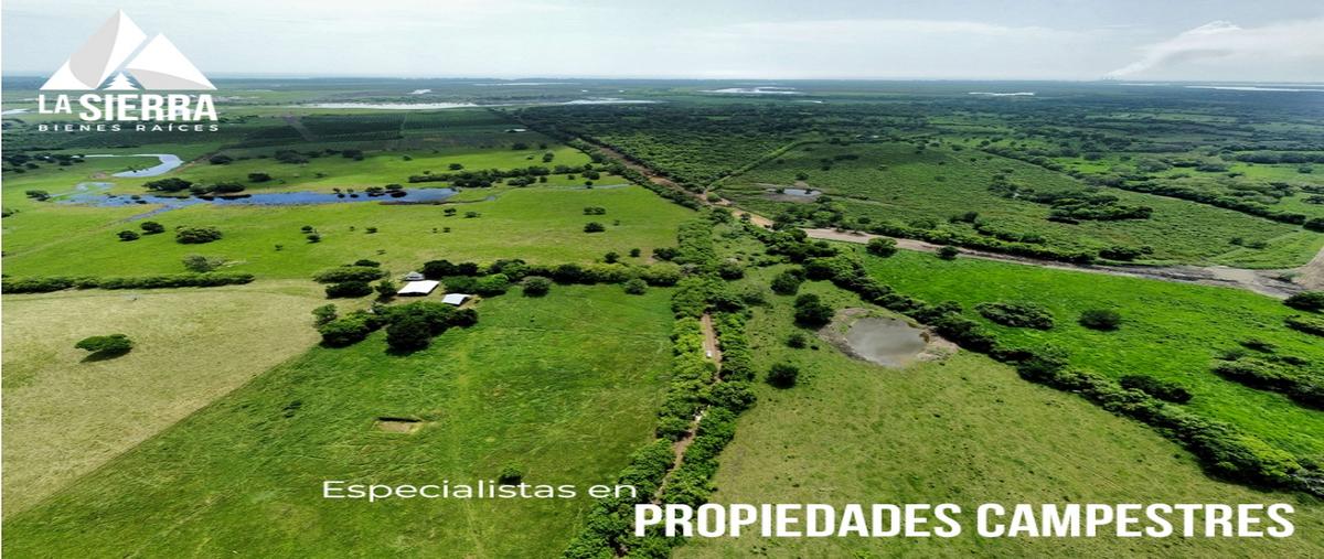 Foto de terreno habitacional en , tronconal de herrera beltrán, tuxpan, veracruz de ignacio de la llave, 0 foto 01 Foto de terreno habitacional en venta en , tronconal de herrera beltrán, tuxpan, veracruz de ignacio de la llave, 0 No. 01