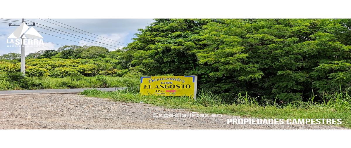 Foto de terreno habitacional en , tronconal de herrera beltrán, tuxpan, veracruz de ignacio de la llave, 0 foto 04 Foto de terreno habitacional en venta en , tronconal de herrera beltrán, tuxpan, veracruz de ignacio de la llave, 0 No. 04