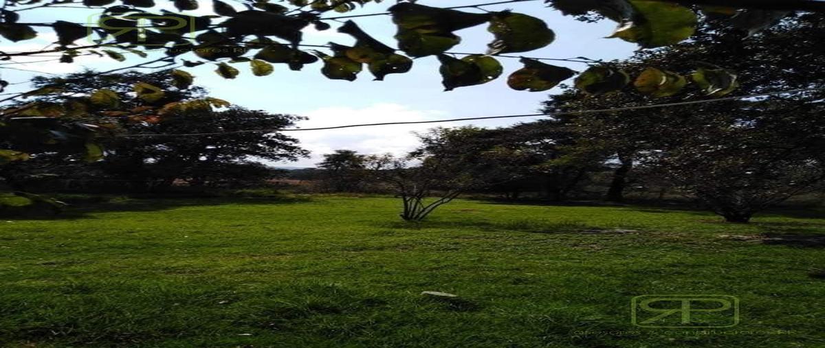 Foto de casa en venta en  , tulancingo, tulancingo de bravo, hidalgo, 29836350 No. 04