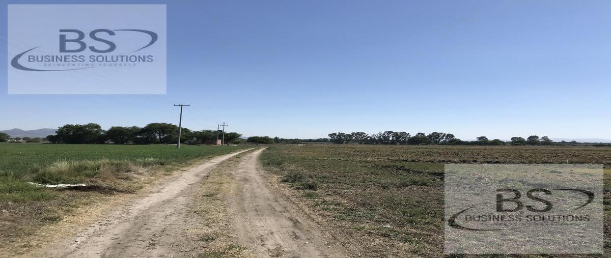 Foto de terreno habitacional en venta en  , tulillo de abajo, san josé iturbide, guanajuato, 0 No. 05