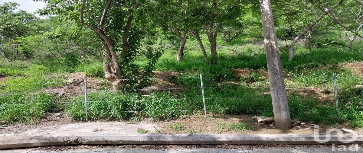 Foto de terreno habitacional en venta en tulipan 414, lomas de antequera, oaxaca de juárez, oaxaca, 31453769 No. 03