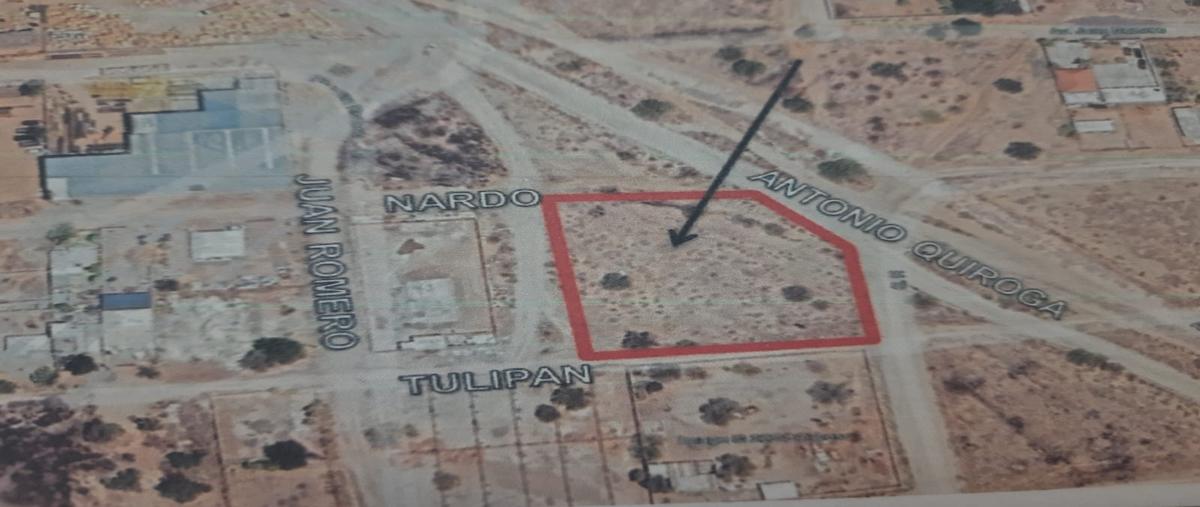 Foto de terreno comercial en tulipan , villa de seris norte, hermosillo, sonora, 28174896 foto 01 Foto de terreno comercial en venta en tulipan , villa de seris norte, hermosillo, sonora, 28174896 No. 01