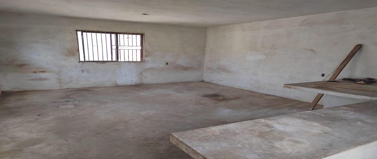 Foto de terreno comercial en renta en tulipanes , américo villarreal, altamira, tamaulipas, 30482377 No. 05