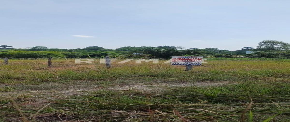 Foto de terreno habitacional en venta en tulipanes manzana 3 , loma linda, tapachula, chiapas, 0 No. 03