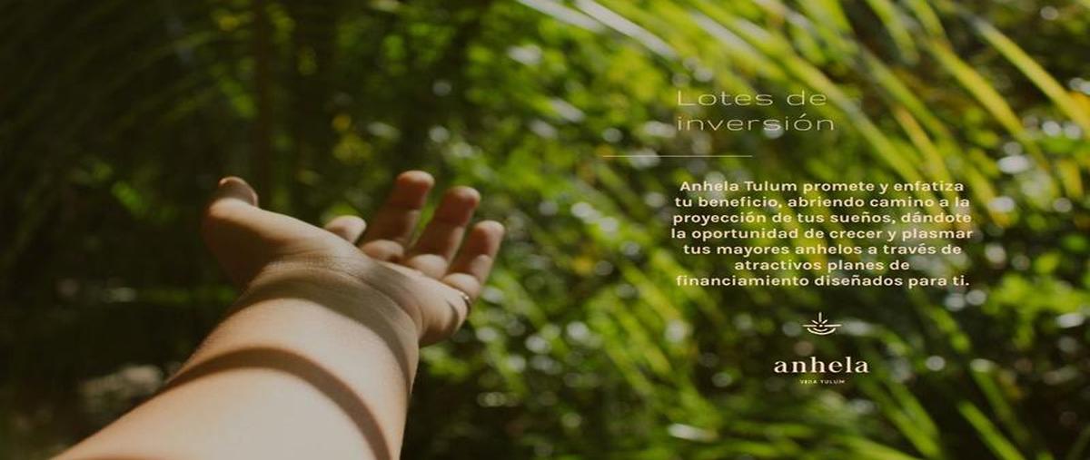 Foto de terreno habitacional en venta en  , tulum centro, tulum, quintana roo, 11231935 No. 03