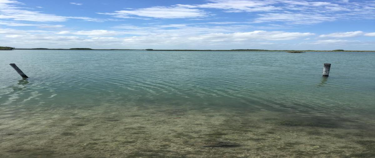 Foto de terreno habitacional en venta en  , tulum centro, tulum, quintana roo, 12272652 No. 03