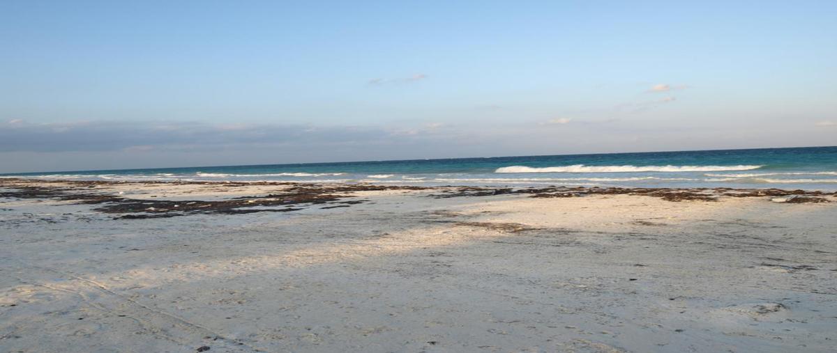 Foto de terreno habitacional en venta en  , tulum centro, tulum, quintana roo, 12272652 No. 04
