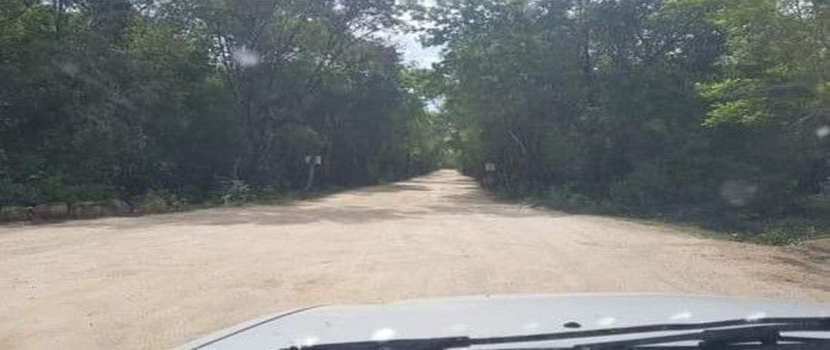 Foto de terreno habitacional en venta en  , tulum centro, tulum, quintana roo, 20166455 No. 04