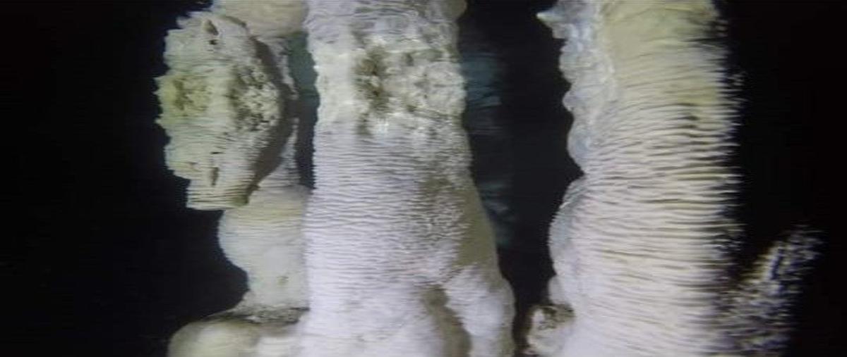 Foto de terreno habitacional en venta en  , tulum centro, tulum, quintana roo, 20166455 No. 05