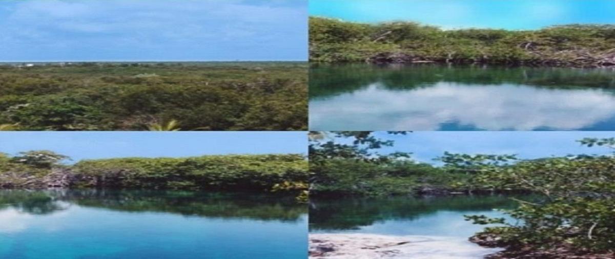 Foto de terreno habitacional en , tulum centro, tulum, quintana roo, 21740630 foto 02 Foto de terreno habitacional en venta en , tulum centro, tulum, quintana roo, 21740630 No. 02