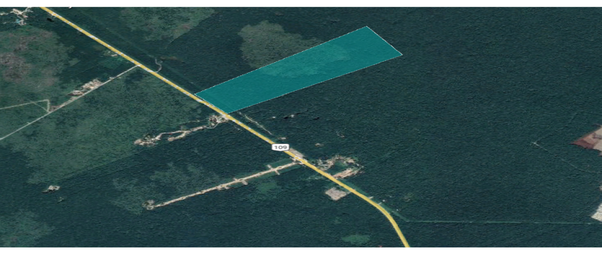 Foto de terreno habitacional en venta en  , tulum centro, tulum, quintana roo, 0 No. 03