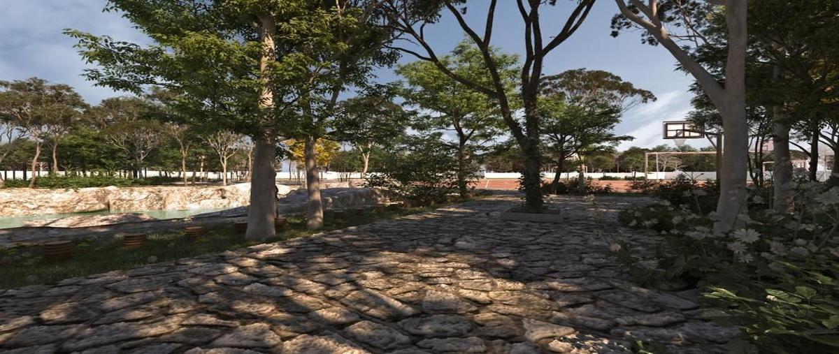 Foto de terreno comercial en venta en  , tulum centro, tulum, quintana roo, 25451723 No. 03