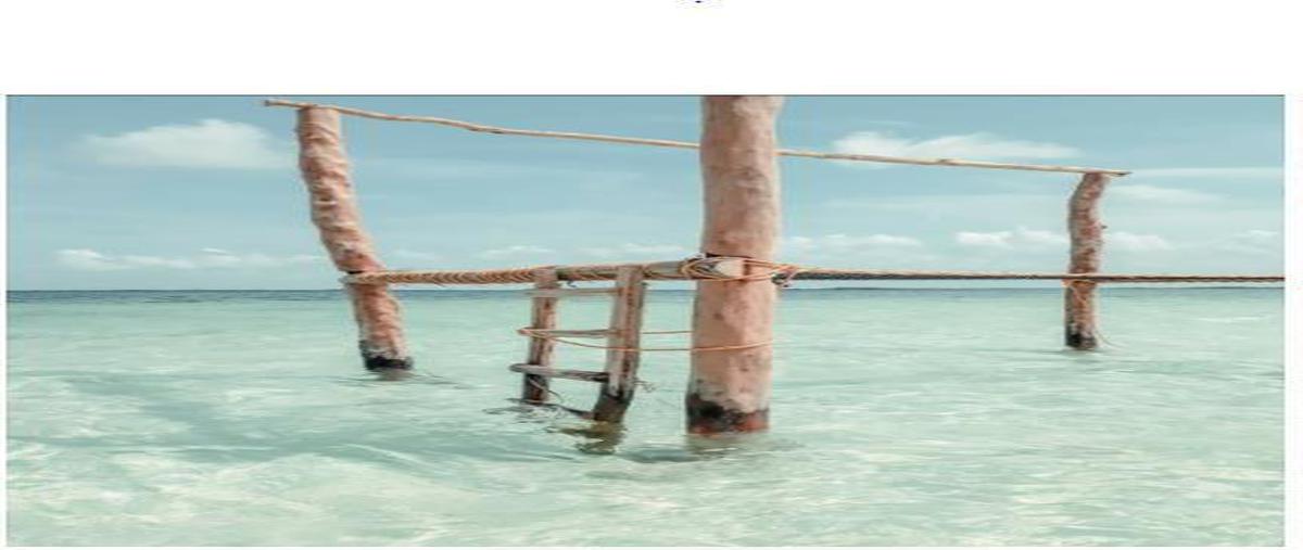 Foto de terreno habitacional en venta en  , tulum centro, tulum, quintana roo, 0 No. 05